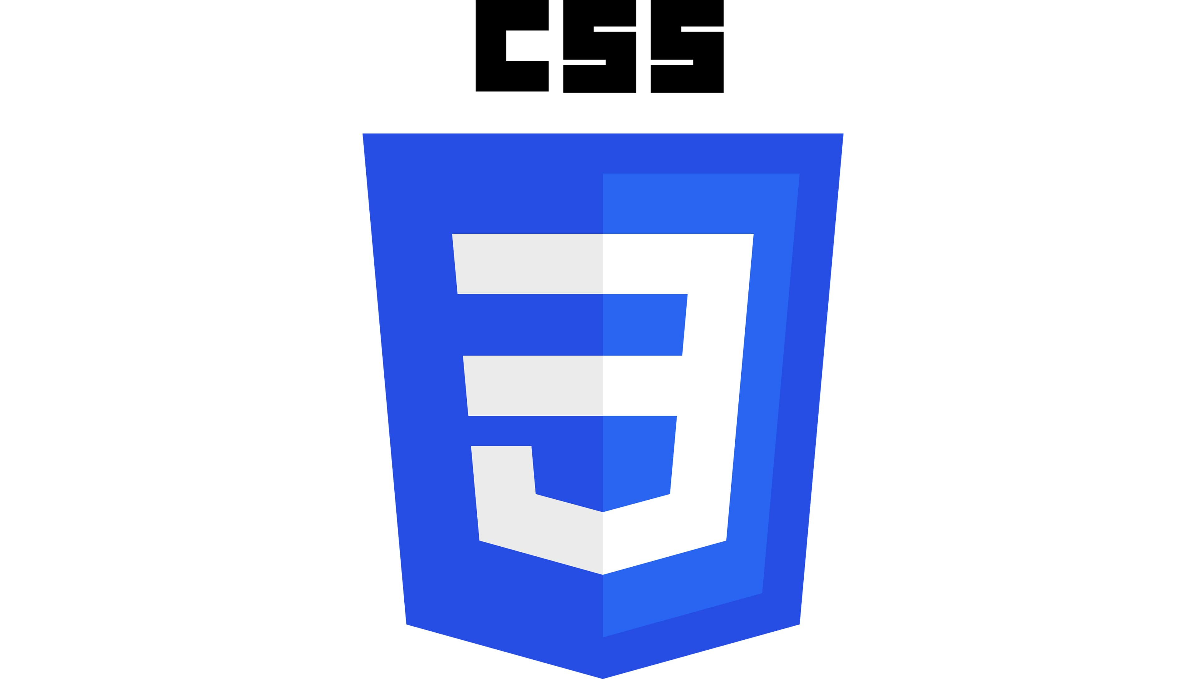 CSS LOGO